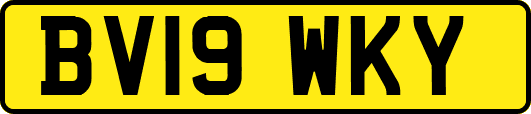 BV19WKY