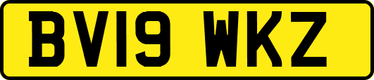 BV19WKZ