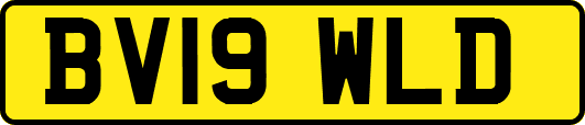BV19WLD