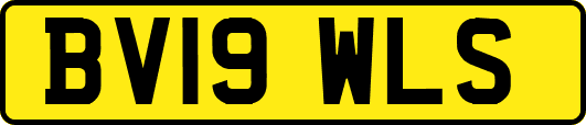 BV19WLS