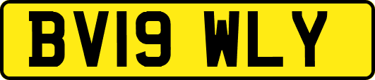 BV19WLY