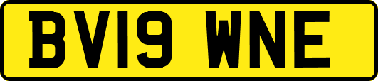 BV19WNE
