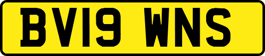 BV19WNS