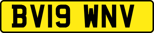 BV19WNV