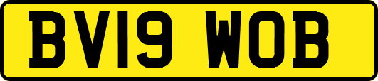 BV19WOB