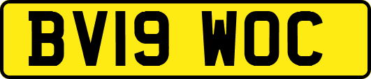 BV19WOC