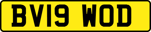 BV19WOD