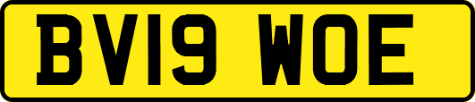 BV19WOE