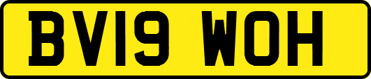 BV19WOH