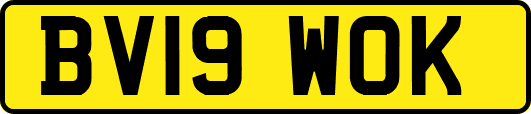 BV19WOK