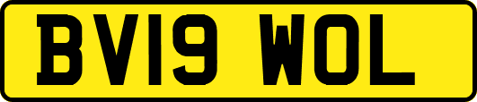 BV19WOL