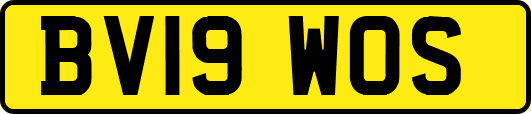 BV19WOS