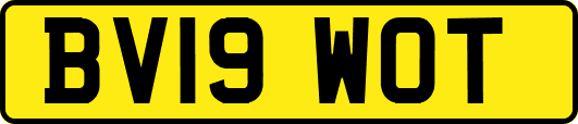 BV19WOT