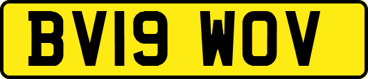 BV19WOV