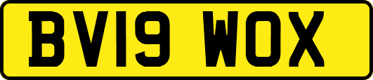 BV19WOX
