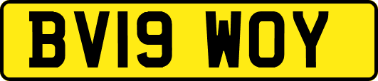 BV19WOY