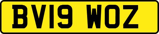 BV19WOZ
