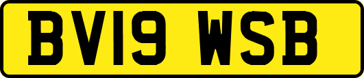 BV19WSB