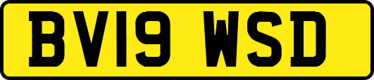 BV19WSD