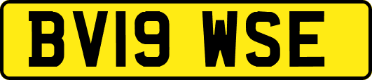BV19WSE