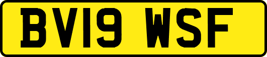 BV19WSF