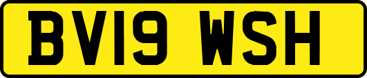 BV19WSH