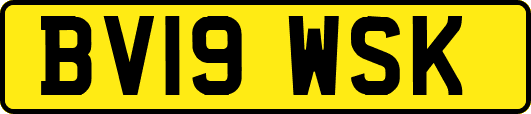 BV19WSK