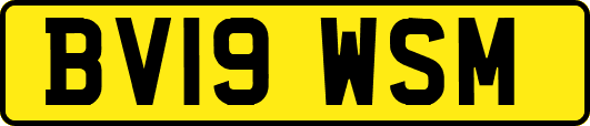 BV19WSM