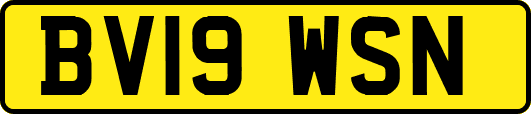 BV19WSN