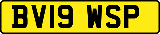 BV19WSP