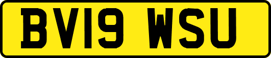 BV19WSU