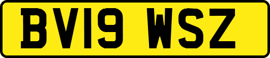 BV19WSZ