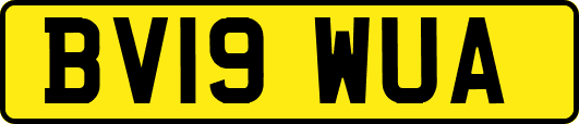BV19WUA