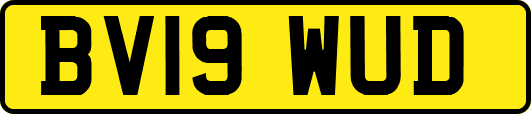 BV19WUD