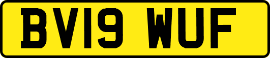 BV19WUF