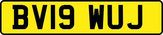 BV19WUJ