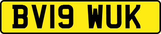 BV19WUK