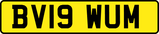 BV19WUM
