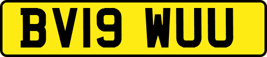 BV19WUU