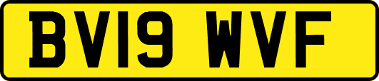 BV19WVF