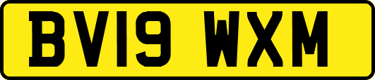 BV19WXM