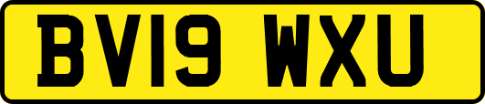 BV19WXU