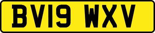 BV19WXV
