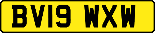 BV19WXW