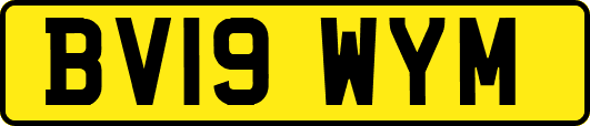 BV19WYM