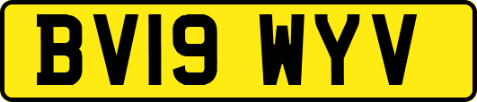 BV19WYV