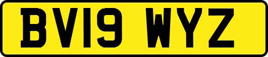 BV19WYZ