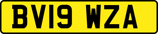 BV19WZA