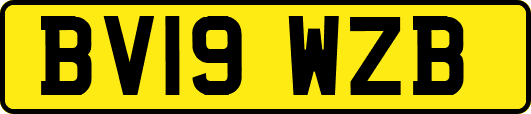BV19WZB