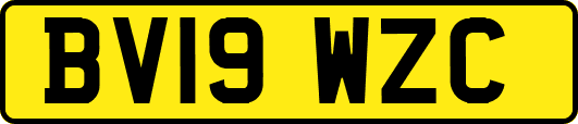 BV19WZC